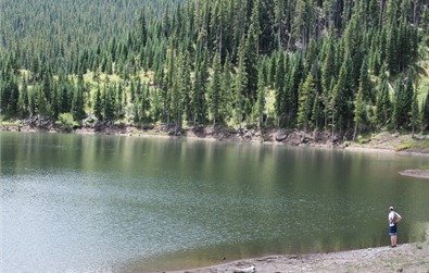 IMG_3767 IMG_3767