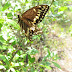 The%252520big%252520picture%252520281