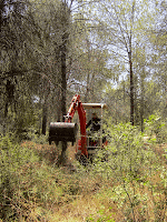 IMG_1561-MOTION.gif Photo IMG_1561-MOTION.gif Photo