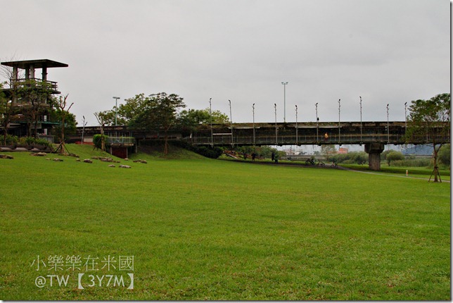 DSC_1310- DSC_1310-
