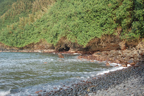 DSC_0798.JPG