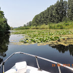 DSCN8271.JPG