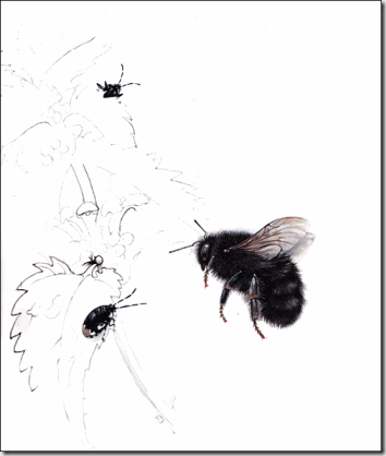 bee-and-bugs-1-bg bee-and-bugs-1-bg