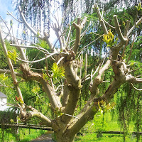 2013-05-20 13.52.33.jpg 2013-05-20 13.52.33.jpg