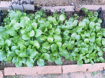 2013-12-21 09.11.37.jpg