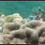 IMG_0620.JPG