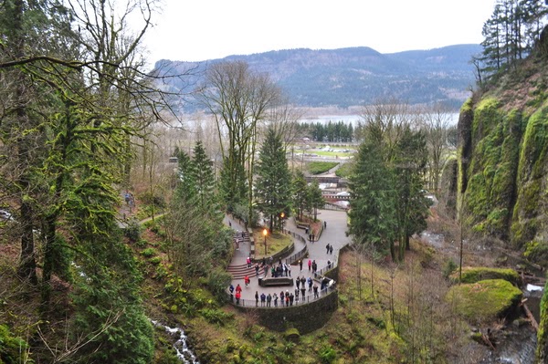 DSC_0110.JPG DSC_0110.JPG