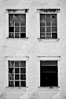 windows windows