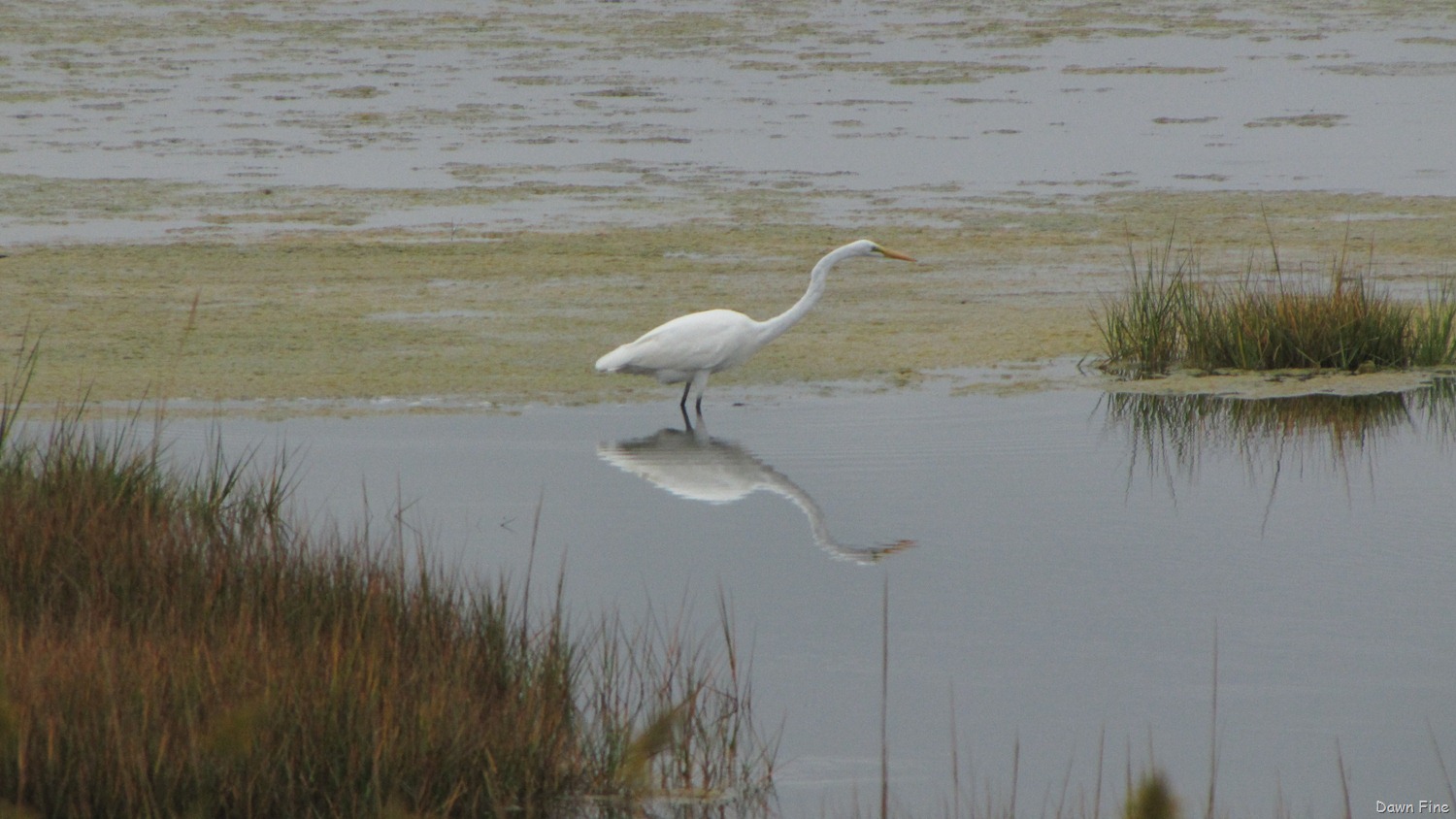 [Plum-Island_0033.jpg]