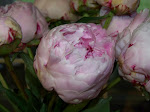 100_5941.JPG