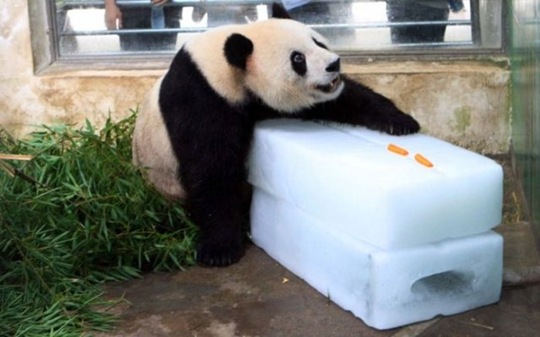 [viral-picdump-pics-a6b29e%255B2%255D.jpg]