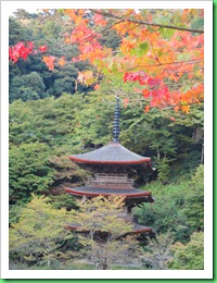 金剛院1864 金剛院1864