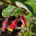 P3259220