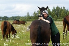 photographers-take-picture-with-digital-camera-blue-palm.blogspot.com How to Take Better Pictures With Your Digital Camera-photo