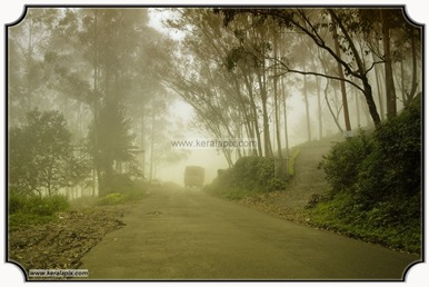 MNR_335_DSC0198_www.keralapix.com