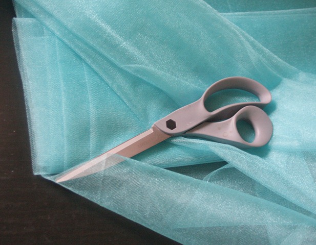 [tulle%255B5%255D.jpg]