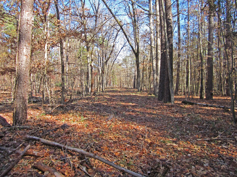 [06%2520raised%2520roadbed%255B3%255D.jpg]