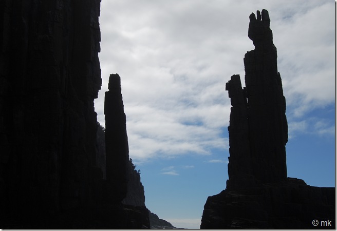 DSC_1175 DSC_1175