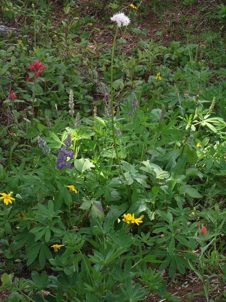 [DSCF06195.jpg]