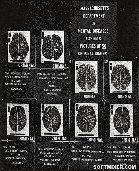 489px-Criminal_brains 489px-Criminal_brains