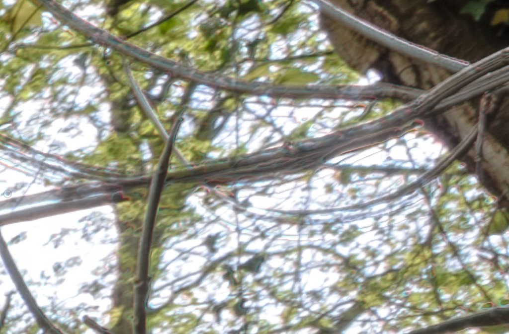 [Ghosting%252C%2520Hawarden%255B4%255D.jpg]