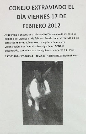 charlie perdido.jpg