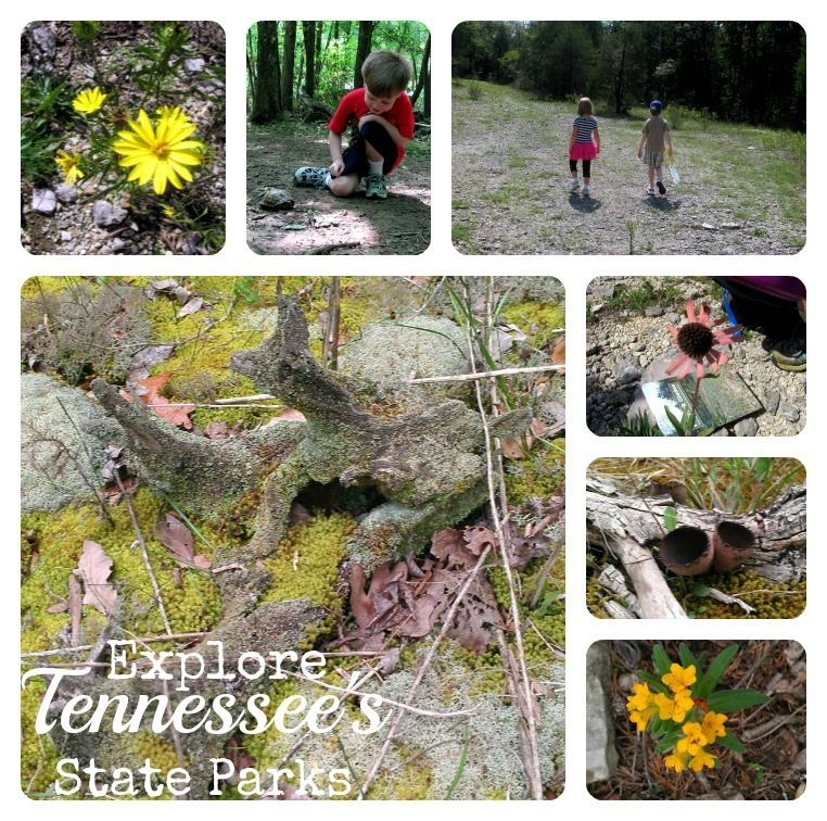 [explore%2520Tennessee%2520state%2520parks%255B4%255D.jpg]