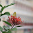 DSC_0394_01.JPG