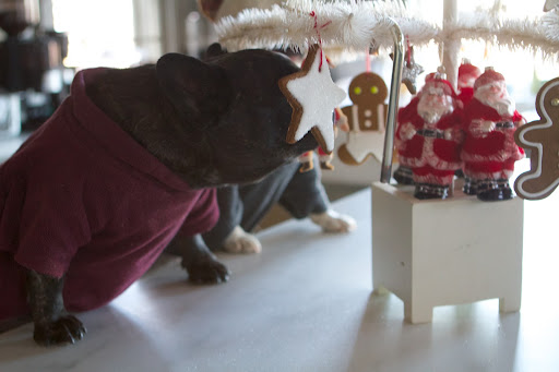 Yes, Sharkey, but there's something especially enticing about this star ornament.