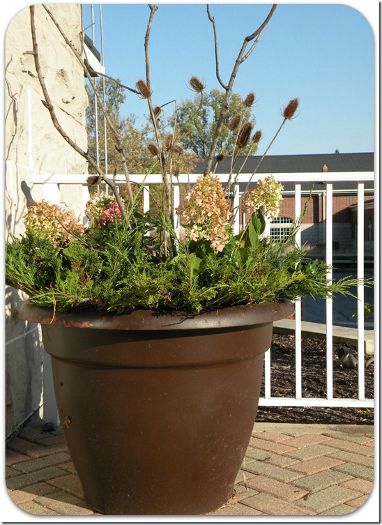 garden planters 1