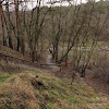 widok z góry dsc05909.jpg