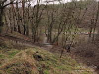 widok z góry