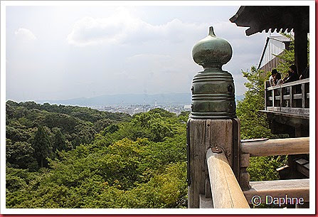 IMG_4956 IMG_4956