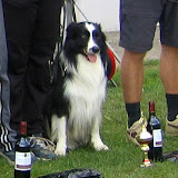Blandet 2007