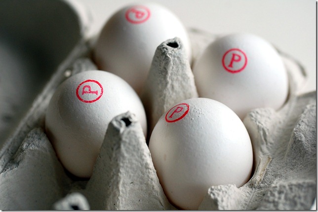 egg4