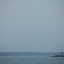 IMG_5256.jpg