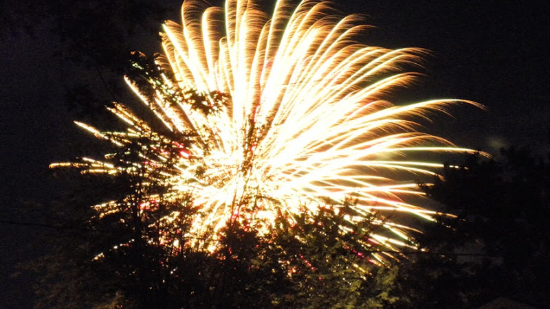 Fireworks Neighborhood July 2 11 (7)compressed