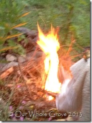 fire spirit fire spirit