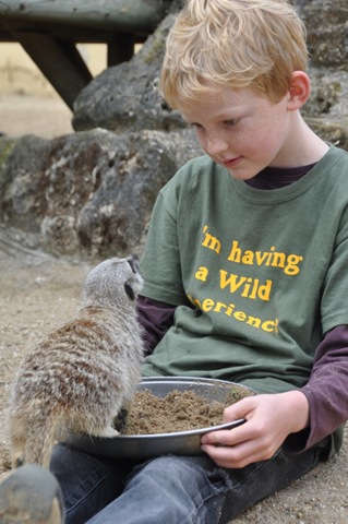 [DSC_0522%255B12%255D.jpg]