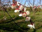 IMG_1867.JPG