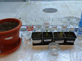 2012-01-27 16.10.36.jpg