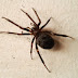 Img_20110904_134316