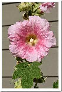 IMG_4984 IMG_4984