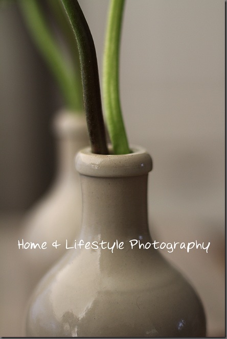 Home & Lifestyle Home & Lifestyle
