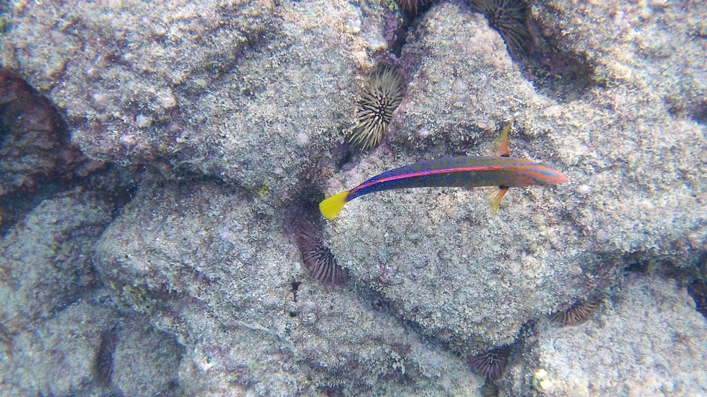 [20121211-100_03694.jpg]