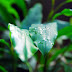 DSC_2215.JPG