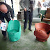 P1090536.JPG