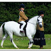Light Horse 011.jpg
