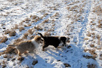 _DSC0037.JPG