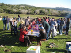 p1271580678(3).jpg